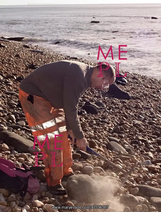 : Excavating at Charmouth : Excavating at Charmouth