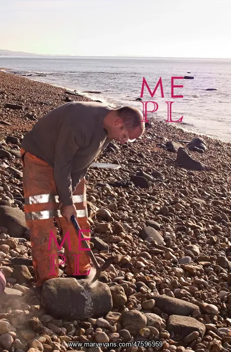 : Excavating at Charmouth : Excavating at Charmouth