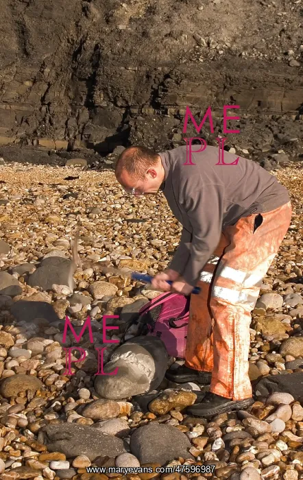 : Excavating at Charmouth : Excavating at Charmouth