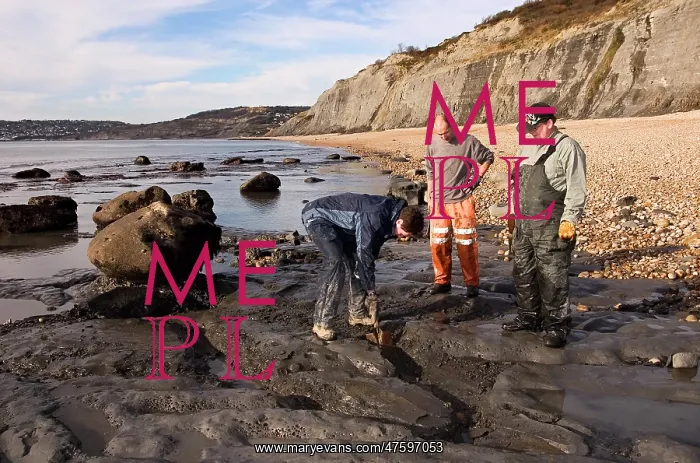 : Excavating at Charmouth : Excavating at Charmouth