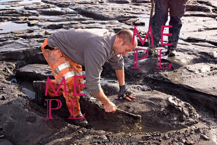 : Excavating at Charmouth : Excavating at Charmouth