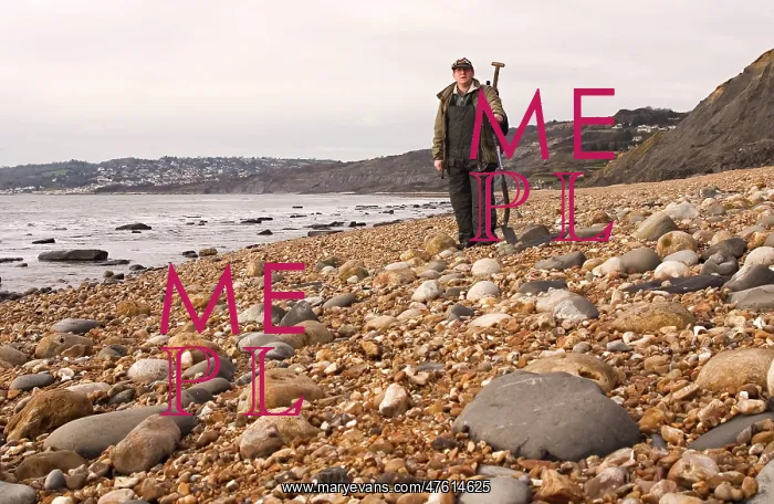 : Excavating at Charmouth : Excavating at Charmouth