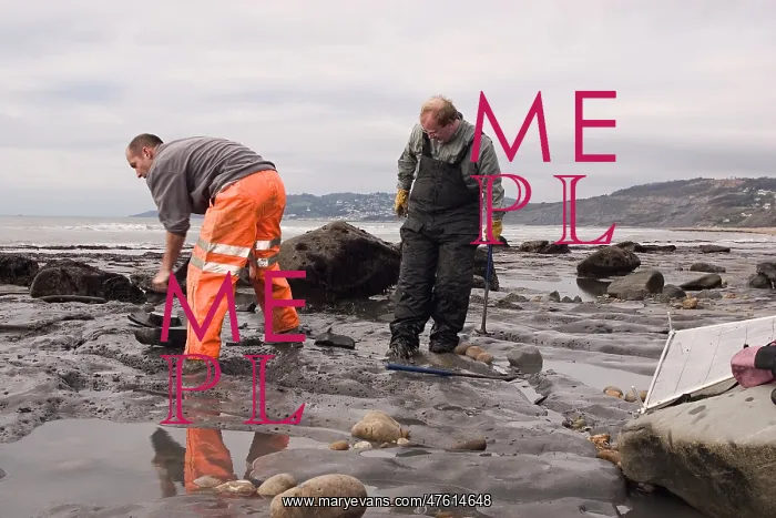 : Excavating at Charmouth : Excavating at Charmouth