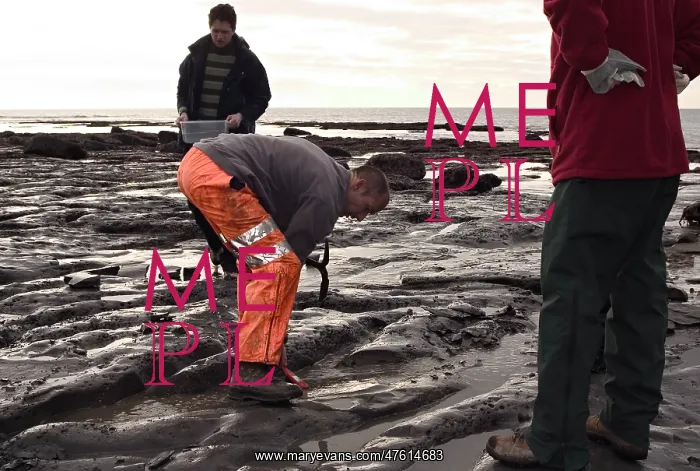 : Excavating at Charmouth : Excavating at Charmouth