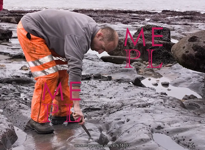 : Excavating at Charmouth : Excavating at Charmouth