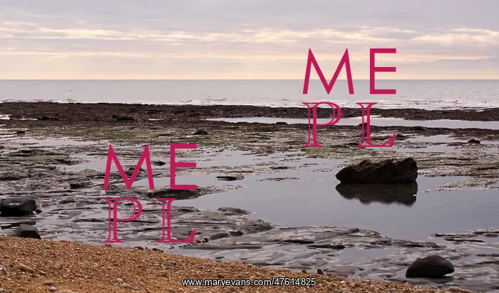 : Excavating at Charmouth : Excavating at Charmouth