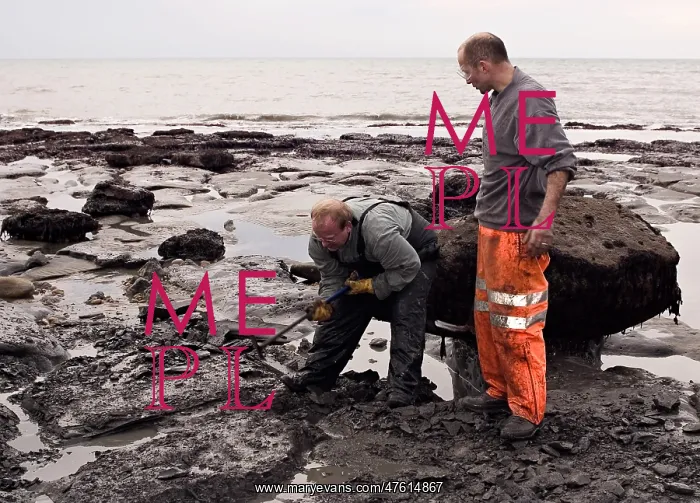 : Excavating at Charmouth : Excavating at Charmouth