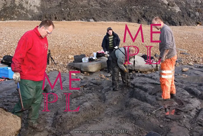 : Excavating at Charmouth : Excavating at Charmouth