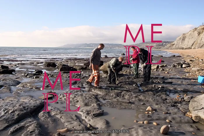 : Excavating at Charmouth : Excavating at Charmouth