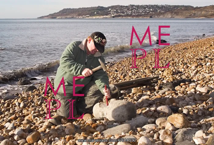 : Excavating at Charmouth : Excavating at Charmouth
