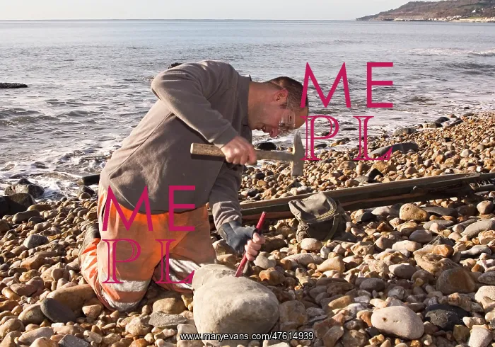 : Excavating at Charmouth : Excavating at Charmouth