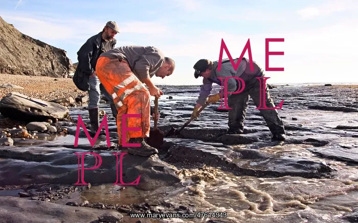 : Excavating at Charmouth : Excavating at Charmouth