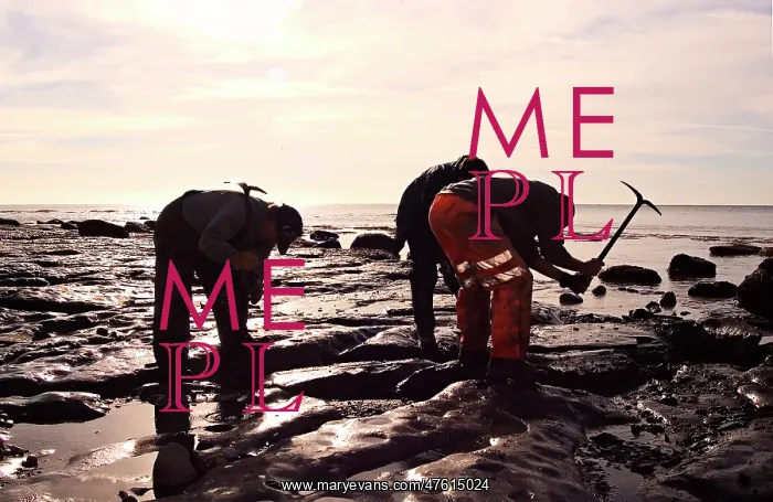 : Excavating at Charmouth : Excavating at Charmouth