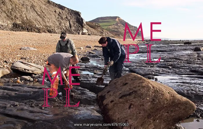 : Excavating at Charmouth : Excavating at Charmouth