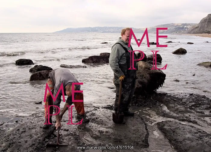 : Excavating at Charmouth : Excavating at Charmouth