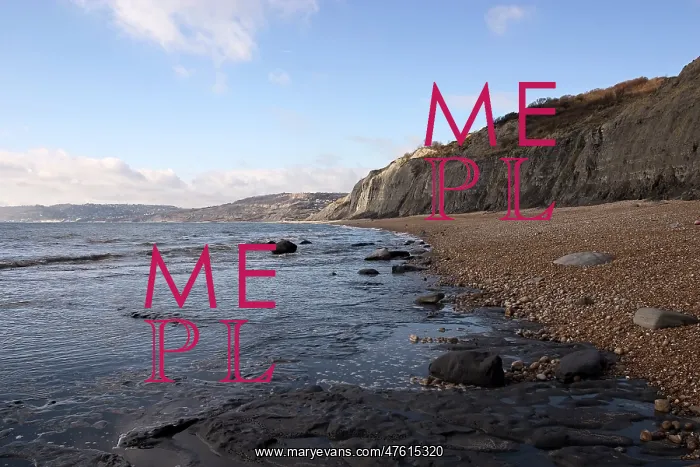 : Excavating at Charmouth : Excavating at Charmouth