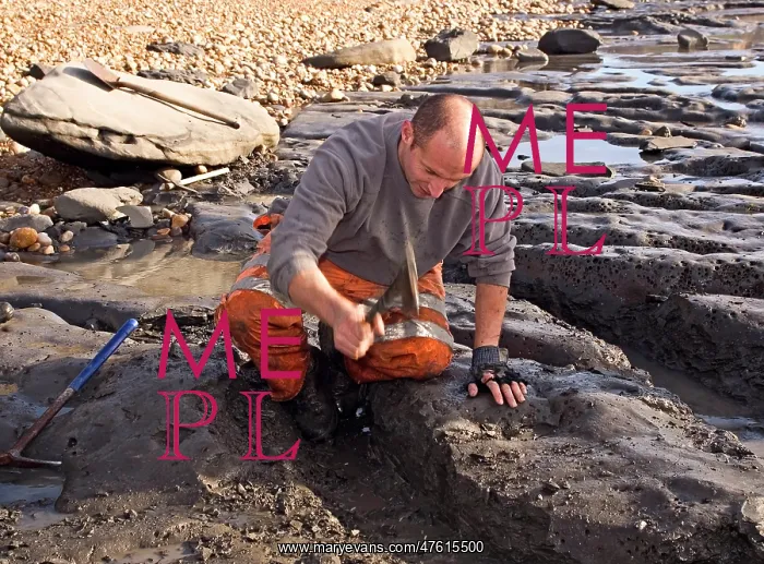 : Excavating at Charmouth : Excavating at Charmouth