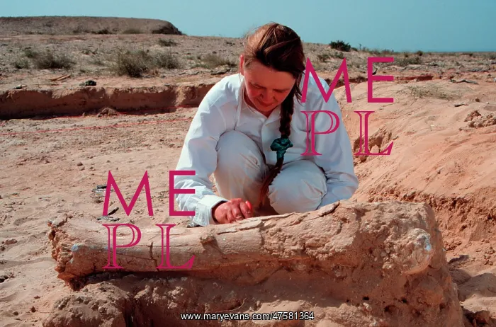 : Excavations, Abu Dhabi : Excavations, Abu Dhabi