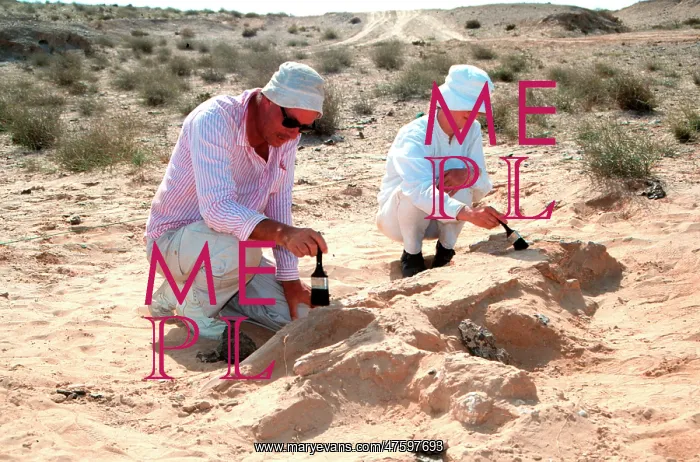 : Excavations, Abu Dhabi : Excavations, Abu Dhabi