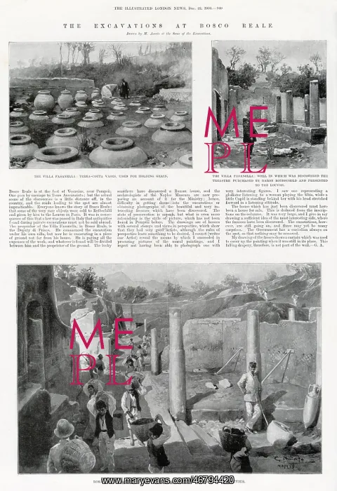 : The excavations at Bosco Reale : The excavations at Bosco Reale