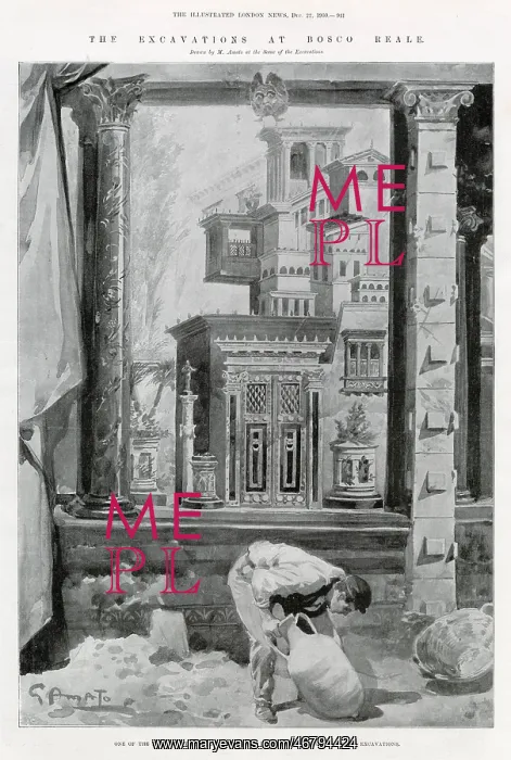 : The excavations at Bosco Reale - mural : The excavations at Bosco Reale - mural