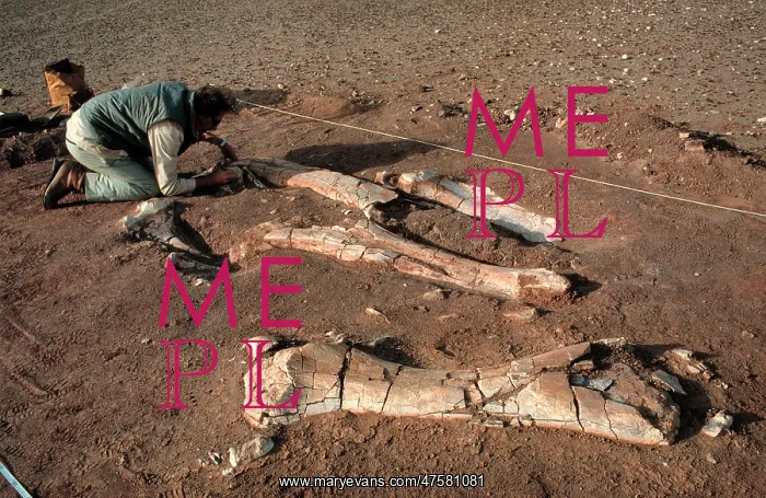 : Excavations, Niger : Excavations, Niger