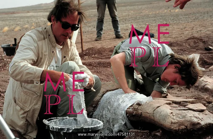 : Excavations, Niger : Excavations, Niger