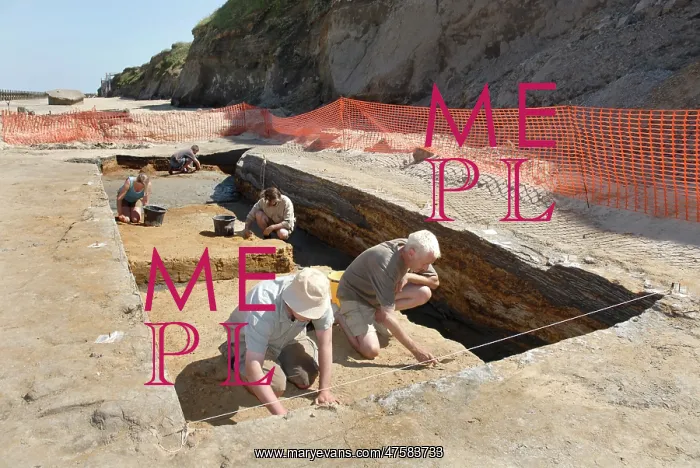: Excavations, Norfolk 2006 : Excavations, Norfolk 2006