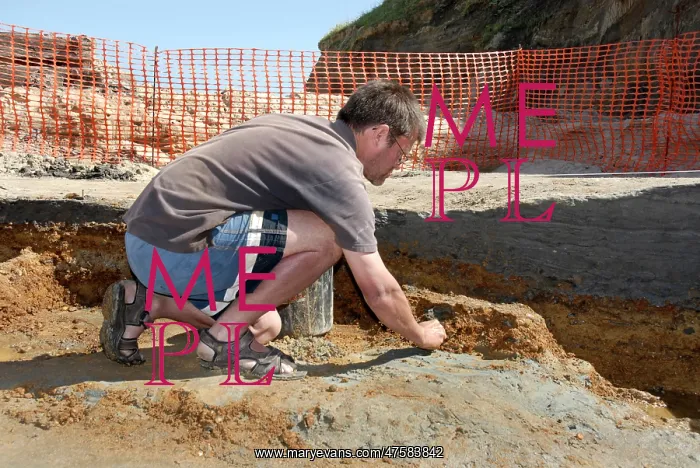 : Excavations, Norfolk 2006 : Excavations, Norfolk 2006