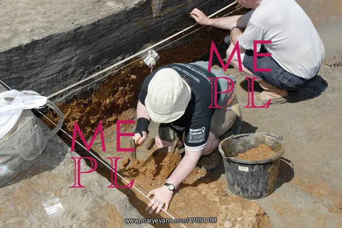 : Excavations, Norfolk 2006 : Excavations, Norfolk 2006