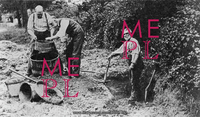 : Excavations at Piltdown circa 1913 : Excavations at Piltdown circa 1913