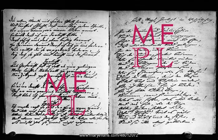 : Excerpt from Goethe's manuscript to Faust II : Excerpt from Goethe's manuscript to Faust II