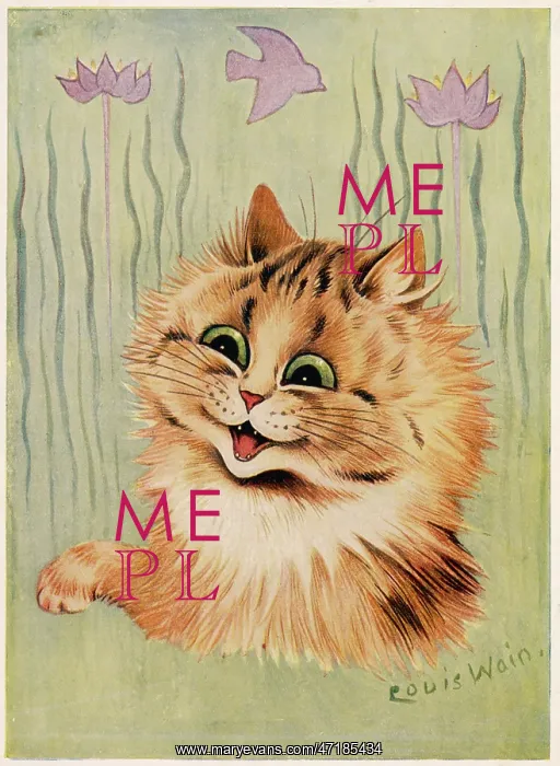  : AN EXCITED CAT