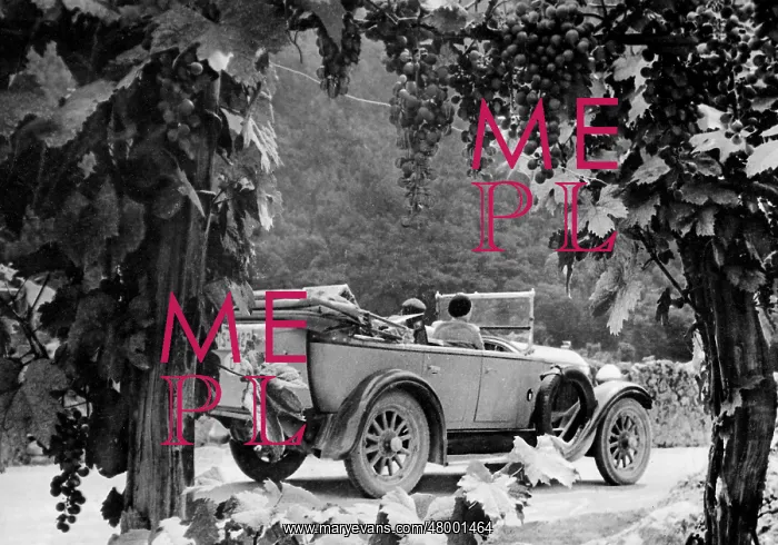 : Excursion by car, 1933 : Excursion by car, 1933
