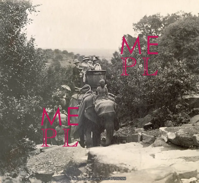 : Excursion by elephant, India : Excursion by elephant, India