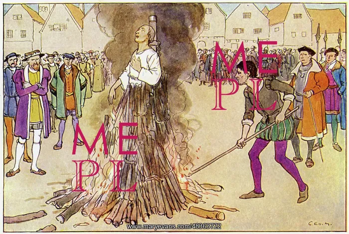 : The Execution by burning of Archbishop Cranmer : The Execution by burning of Archbishop Cranmer
