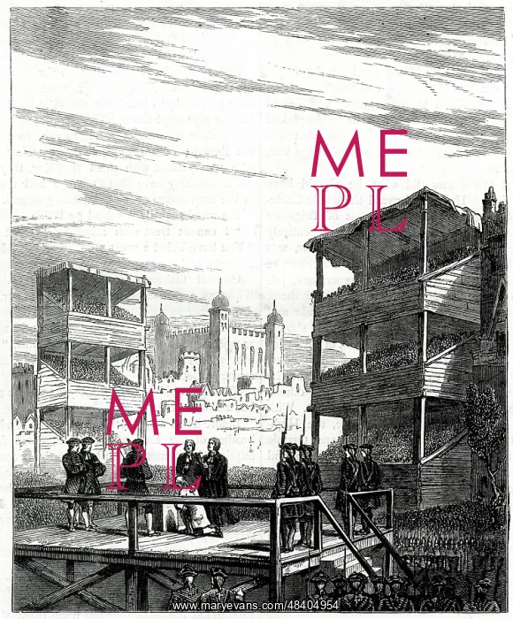 : Execution of Charles Radclyffe on Tower Hill, 1746 : Execution of Charles Radclyffe on Tower Hill, 1746