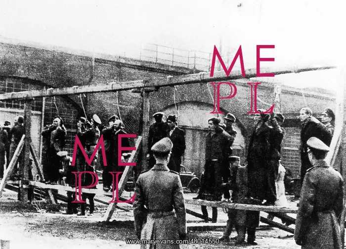 : Execution of the Edelweiss Pirates in Cologne-Ehrenfeld, 194 : Execution of the Edelweiss Pirates in Cologne-Ehrenfeld, 194