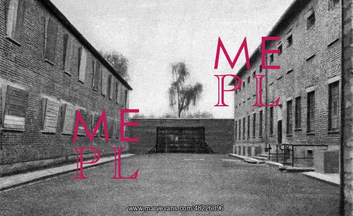 : Execution site in the Auschwitz concentration camp : Execution site in the Auschwitz concentration camp