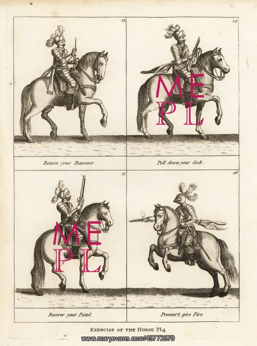 : Exercise of the horse : Exercise of the horse