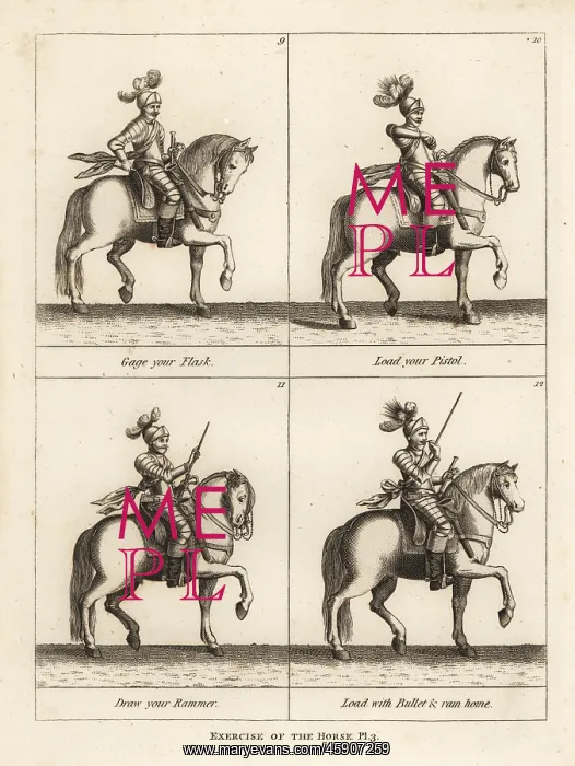 : Exercise of the horse : Exercise of the horse