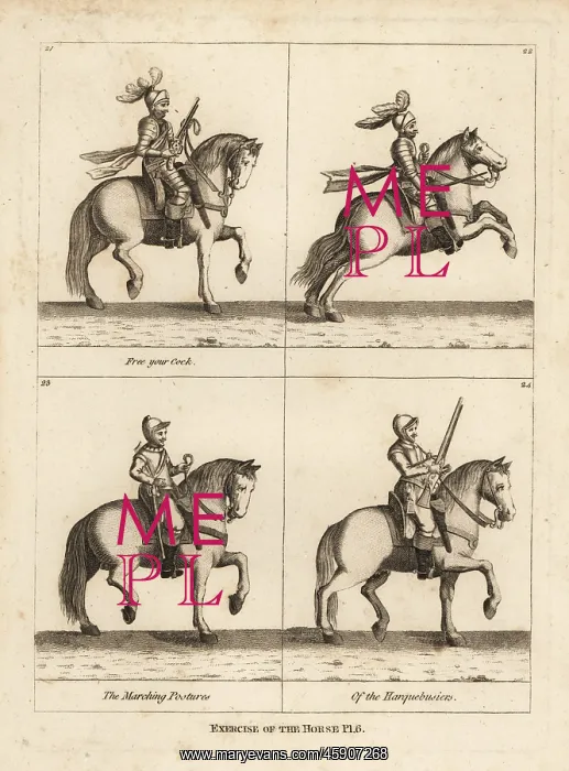 : Exercise of the horse : Exercise of the horse
