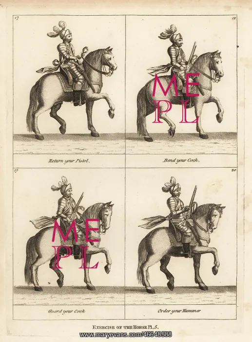 : Exercise of the horse : Exercise of the horse