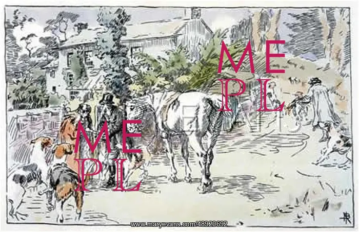  : EXERCISING FOXHOUNDS