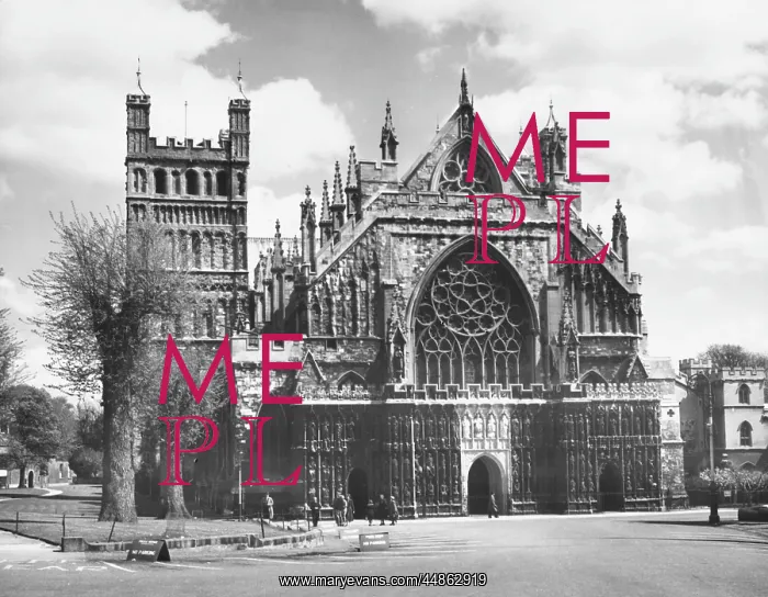: EXETER CATHEDRAL : EXETER CATHEDRAL