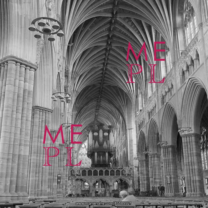 : Exeter Cathedral : Exeter Cathedral