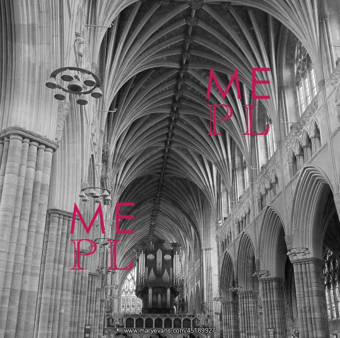: Exeter Cathedral : Exeter Cathedral