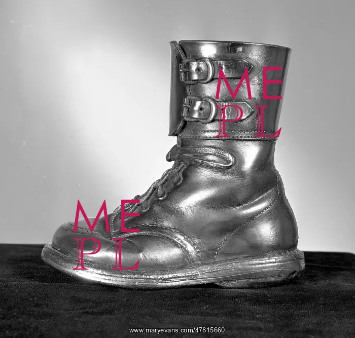  : Exhibition of Gold and Silver shoes