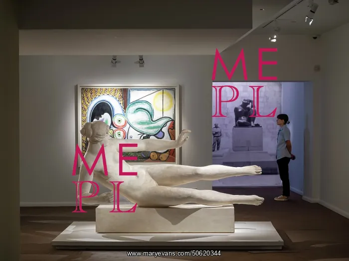 : Exhibition, Musee d'Art Hyacinthe Rigaud, Perpignan, France : Exhibition, Musee d'Art Hyacinthe Rigaud, Perpignan, France
