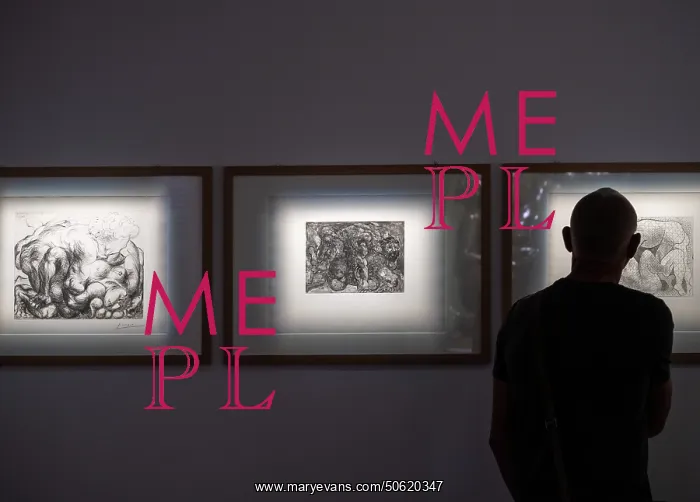 : Exhibition, Musee d'Art Hyacinthe Rigaud, Perpignan, France : Exhibition, Musee d'Art Hyacinthe Rigaud, Perpignan, France